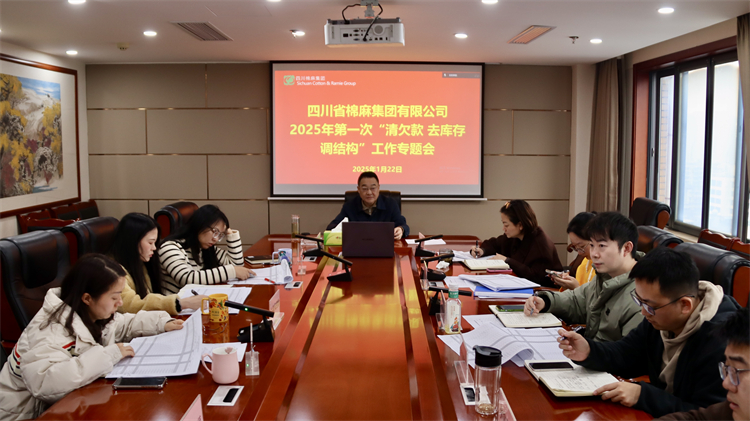 集团公司召开2025年第一次“清欠款、去库存、调结构”工作专题会
